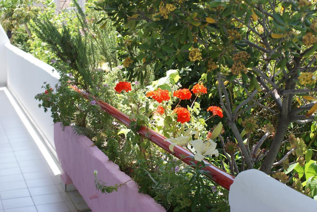 Stam & John Apartments Kos Town Exterior photo